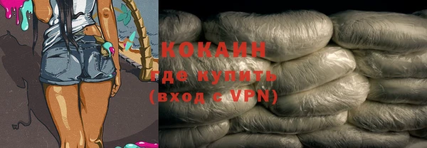 spice Дмитриев