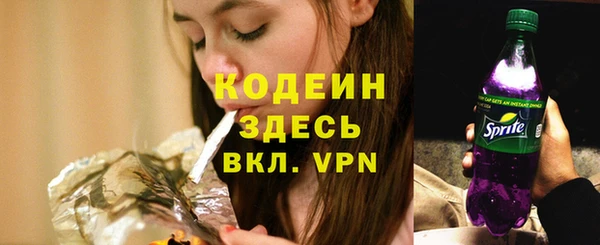 хмурый Дмитровск