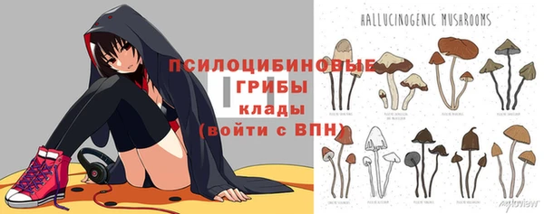 spice Дмитриев